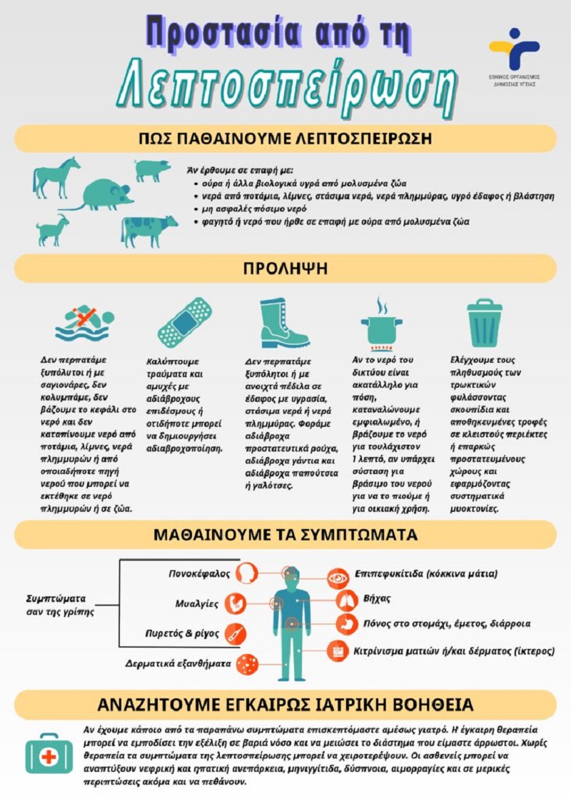 λεπτοσπειρωση, Κερκυρα, ουρα, ποντικια, πυρετος