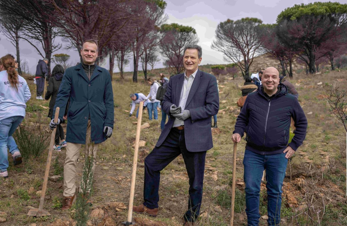 Παπαστράτος: Ξεκινά η Β΄ φάση του Προγράµµατος Αναδάσωσης