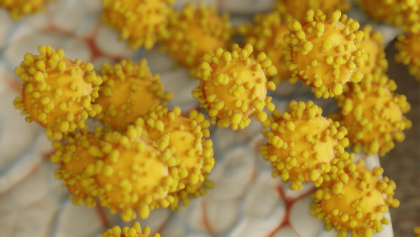 CDC: «Αυξανόμενη απειλή» τα ανθεκτικά στα φάρμακα μικρόβια – Τα πιο επικίνδυνα