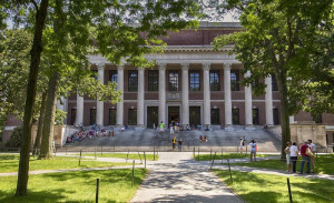 Harvard: Οι βιταμίνες από τις οποίες έχει έλλειψη ο παγκόσμιος πληθυσμός