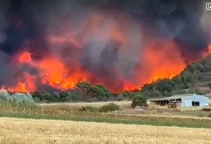 Φωτιά στην Αλεξανδρούπολη: Εκκενώνεται προληπτικά το νοσοκομείο