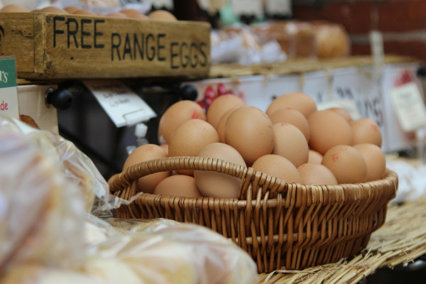 Τα αυγά αυξάνουν τον κίνδυνο καρδιακών παθήσεων; Μύθος ή αλήθεια;