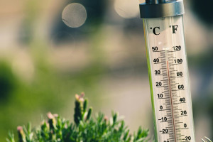 Harvard: Οι κίνδυνοι το καλοκαίρι για όσους έχουν καρδιολογικά προβλήματα