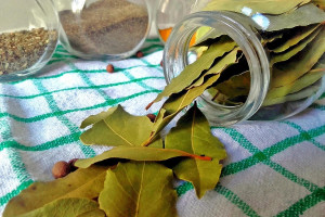 Φύλλα δάφνης: Είναι ασφαλή για κατανάλωση; Οι ειδικοί απαντούν