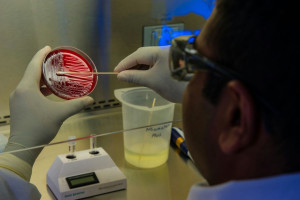 Σαρκοφάγα βακτήρια που μπορούν να σκοτώσουν σε δύο ημέρες εξαπλώνονται στην Ιαπωνία