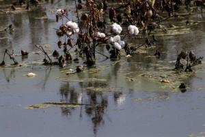 ECDC: Αυτές είναι οι επικίνδυνες ασθένειες μετά τις πλημμύρες στη Βαλένθια