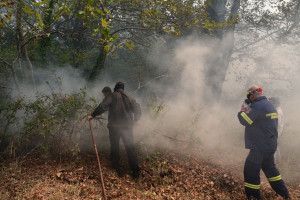 Φωτιά: Οι οδηγίες προστασίας του ΕΟΔΥ από τον καπνό